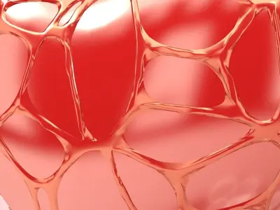 Heart covered in Web Low-poly 3D model