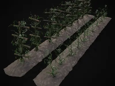 Crops Peas Plants Low-poly 3D model