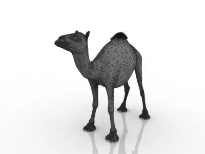 High quality camel 3D model