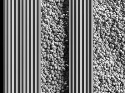 Vertical garden and planks 2 3D model