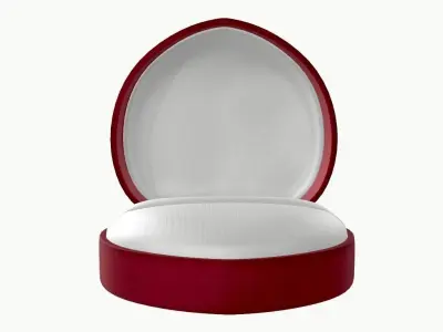 hear type box for rings and earings 3D model