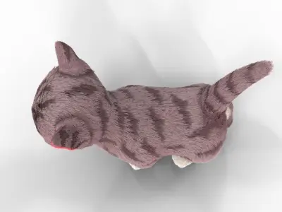 Fur Cute Cat kitten Cartoon  Low-poly 3D model