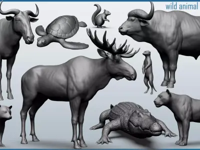 Wild animal collection - 10 animals VOL-3 3D model
