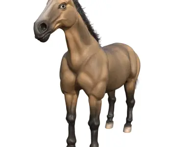 Horse 3D model 30