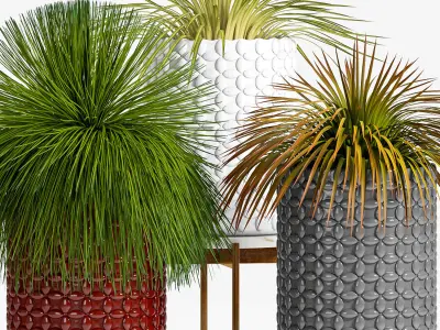 Decorative plant set-40 3D model