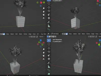 Potted Plant 1 Free 3D model