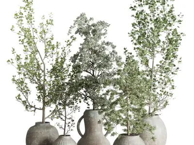 Collection indoor plant 240 pot Tree Bush Concrete Dirty Vase 3D model