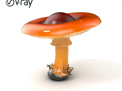 Summer Honey Fungus Mushroom model pack Low-poly 3D model