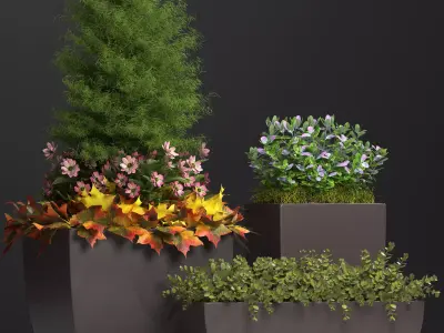 plants set 121 3D model