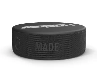 Hockey Puck 2 3D model