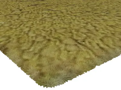 Rug Set 1001 3D model
