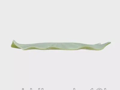 Giant Water Lily Leaf Exotic Pond Decoration model pack Low-poly 3D model