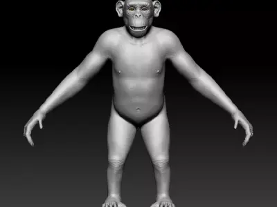 Chimpanzee Ape 3D model