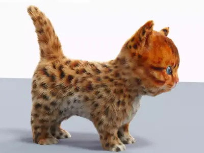 Fur Cute Cat kitten Jungle No Rig Low-poly 3D model