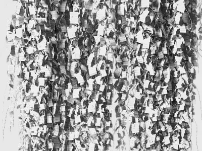 Plant leaf partition or screen 3D model