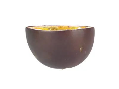 Photorealistic Passion Fruit Half 3D Scan 1 3D model