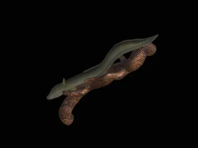 EEL UNDERWATER STATUE ON THE WALL DETAILED TEXTURE 3D print model