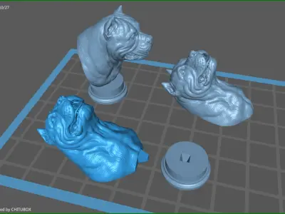 American bully head version 2 3D print model