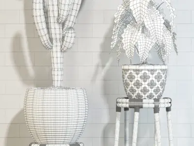 Plants collection 123 3D model