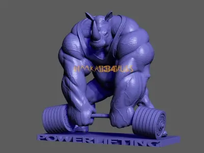 rhino  3D print model