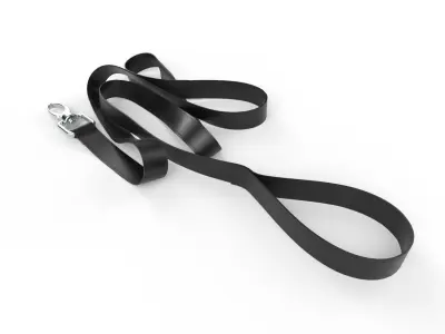 Pet Leash M01 Low-poly 3D model