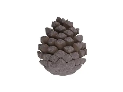 pine cone 3D model