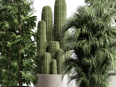 indoor plant 190 pot  cactus olive palm concrete dirt vase 3D model