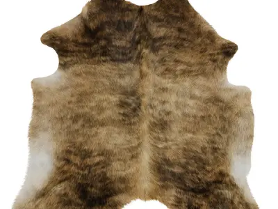 Nine Rugs From Animal Skins 10 3D model