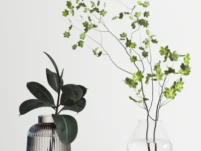 collection Plants Bouquet Indoor glass vase 07 3D model