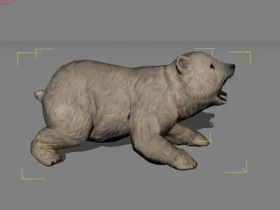 Baby Polar Bear Animal Low-poly 3D model