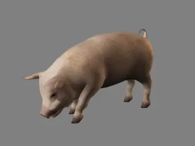 Pig Animations Low Poly- Game Ready Low-poly 3D model