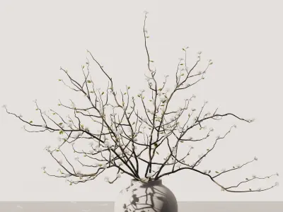 Dry Flower Branche Bouquet 3D model