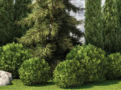 Garden with thuja cypress pine and topiary plant 1381 3D model