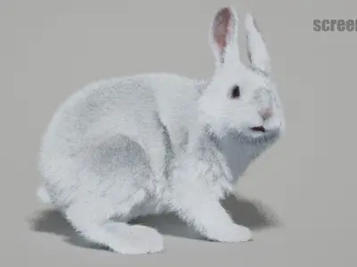 Rabbits Animated UNREAL project  Maya base rig 3D model