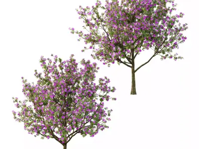 xcellent collection of Outdoor plants 20 Different Models 0053