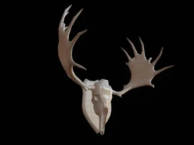 Moose Skull  Low-poly 3D model