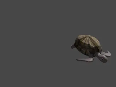 Sea turtle  Low-poly 3D model