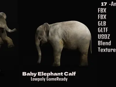 Baby Elephant Calf Low-poly 3D model