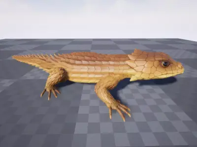 Armadillo lizard  Handpainted  GAME READY Low-poly 3D model