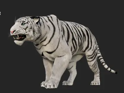 White Tiger 3D model