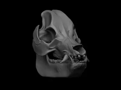 Pig Skull 3D model