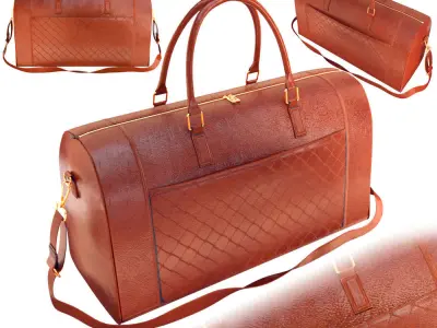 bag 2 Colour 3D model