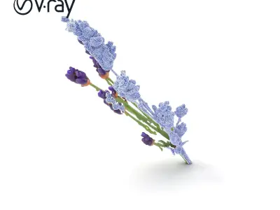 Lavender Flower Detailed Sculpture model pack Low-poly 3D model