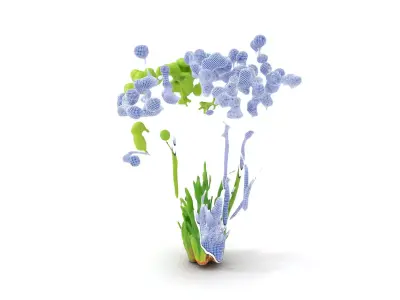 Green Seed Pods model pack Low-poly 3D model