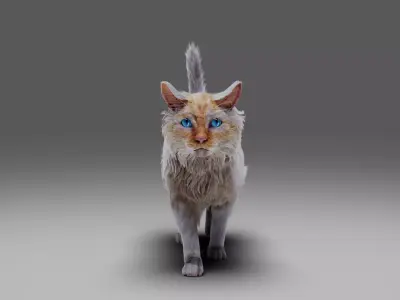 Fur Cat White NO Rigged Low-poly 3D model