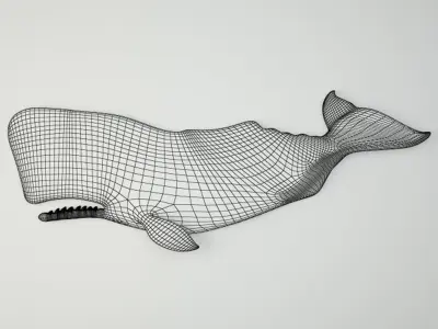 Hand-Carved Sperm Whale 2 3D model