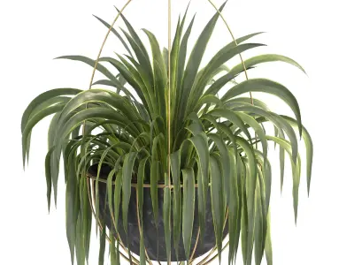 Metal Hanging Plants 05 3D model