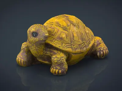 Turtle Low-poly 3D model get