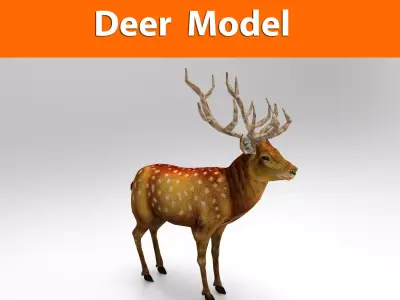 3d Deer low poly with antlers Low-poly 3D model
