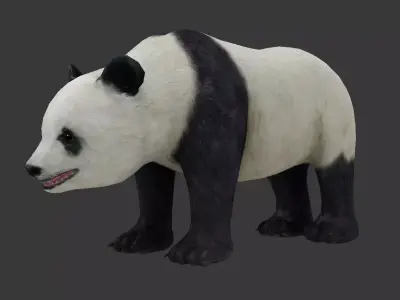 panda bear Low-poly 3D model